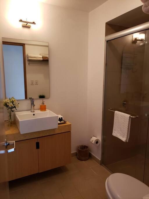 Luxury Apartment In Carso, Polanco 墨西哥城 外观 照片
