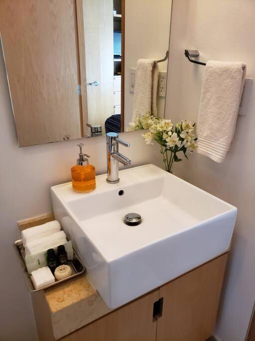 Luxury Apartment In Carso, Polanco 墨西哥城 外观 照片